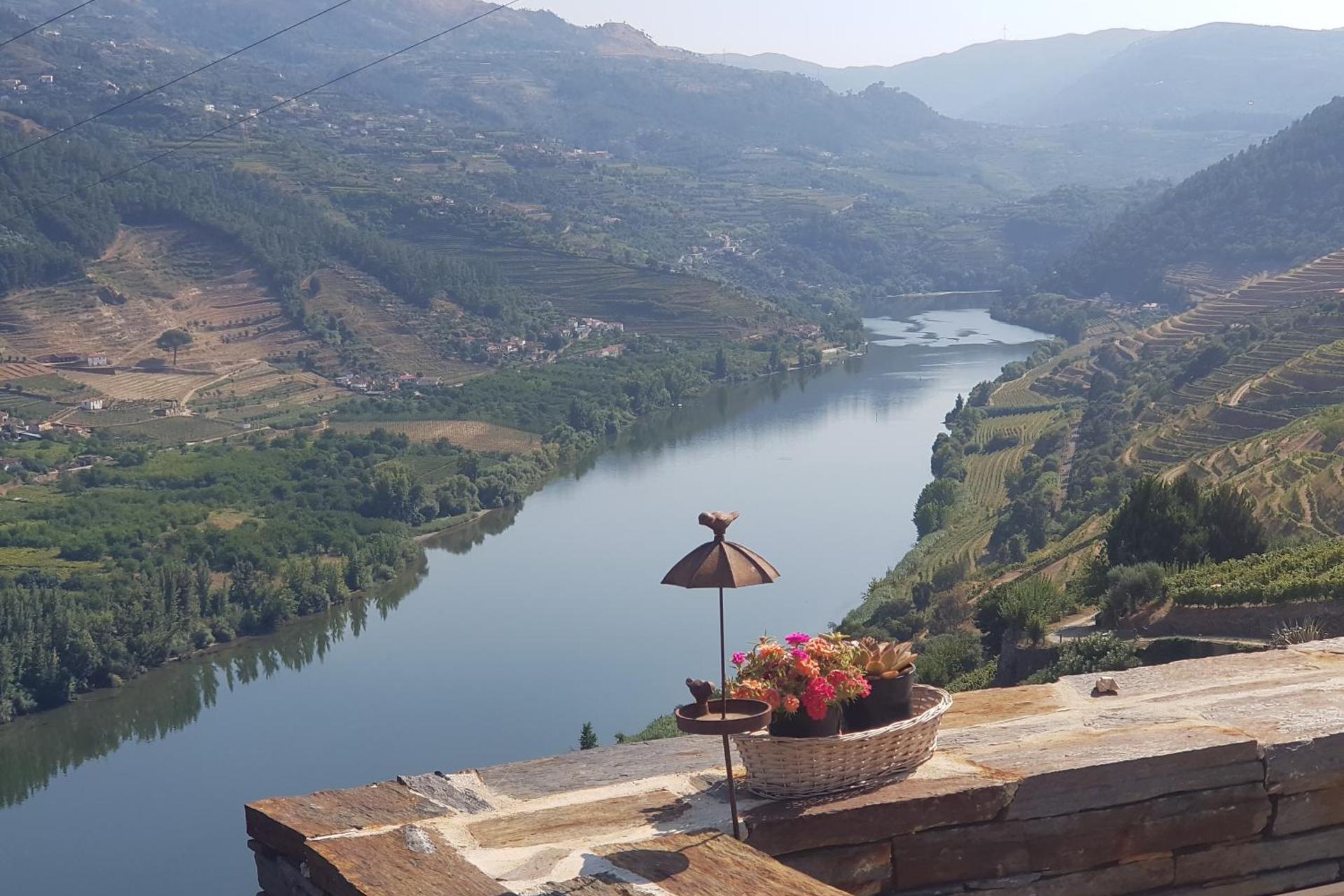 Imaginário d'El-Rei