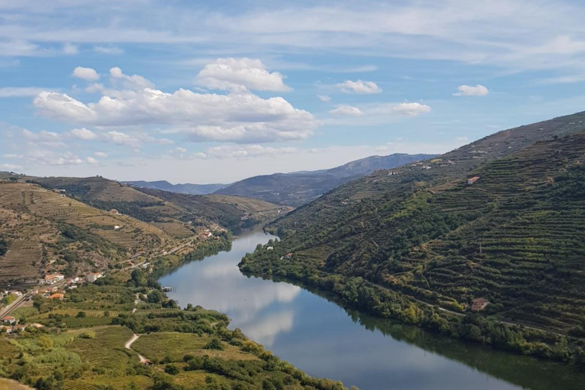 Imaginário d'El-Rei