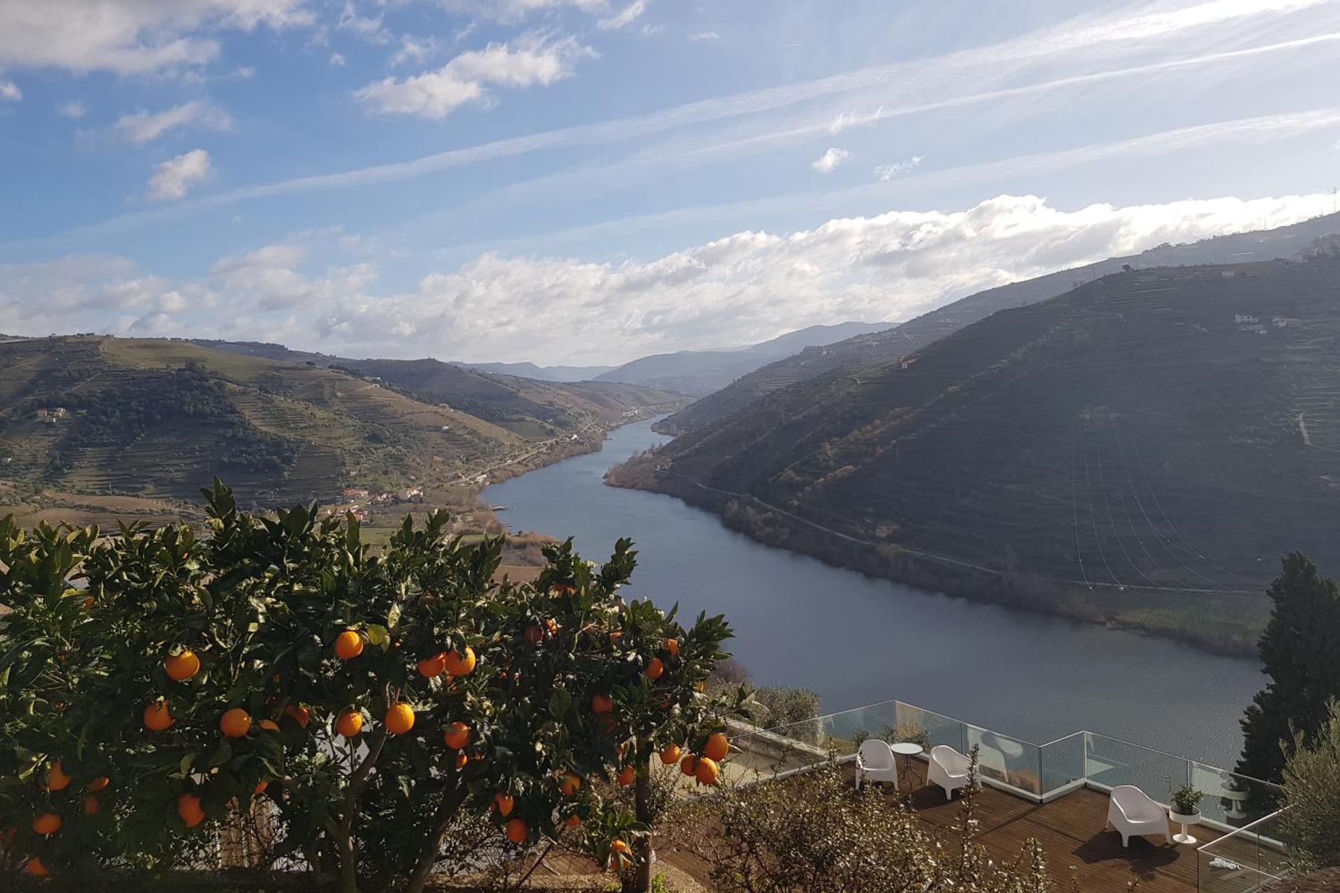 Imaginário d'El-Rei